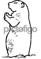 Prairie DogFreehand Image